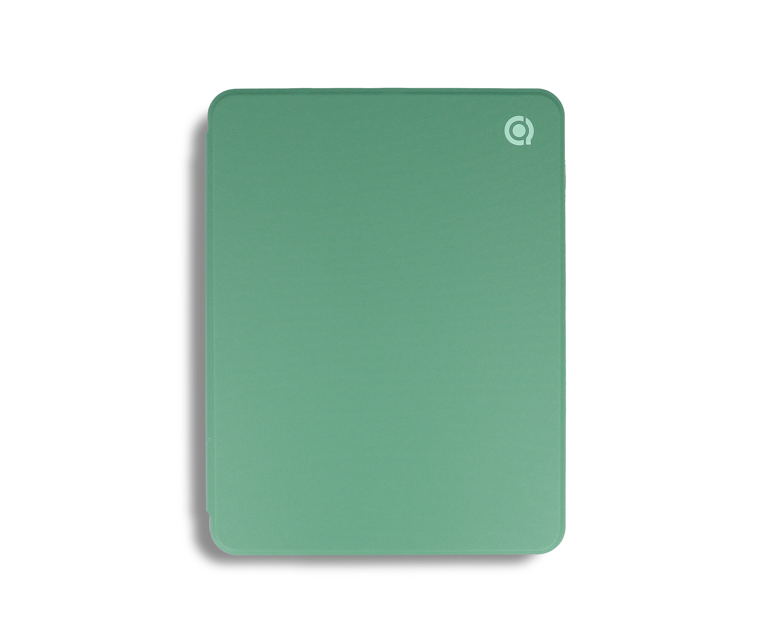 Green iPad Pro 11'' 2022 Folio