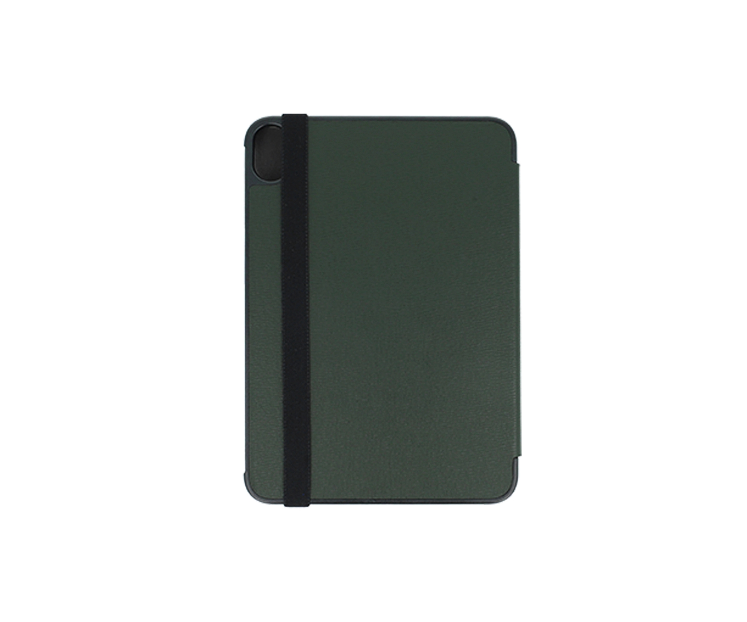 leather ipad mini 6